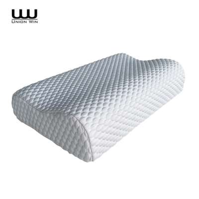 Wholesale High Density Standard Size Contour Memory Foam Pillow